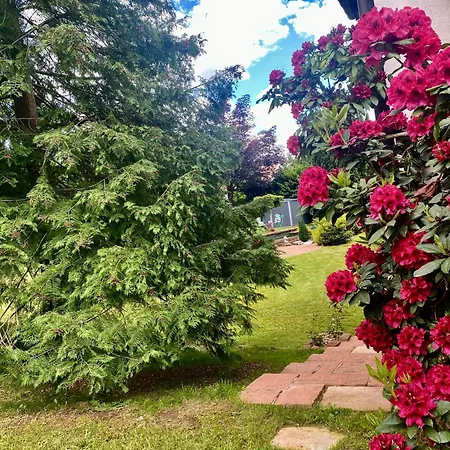 Le De Brigitte ! アパート