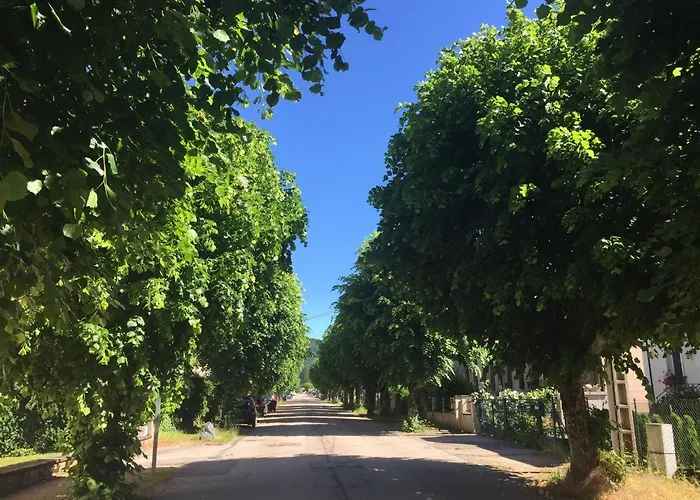 Le De Brigitte ! アパート