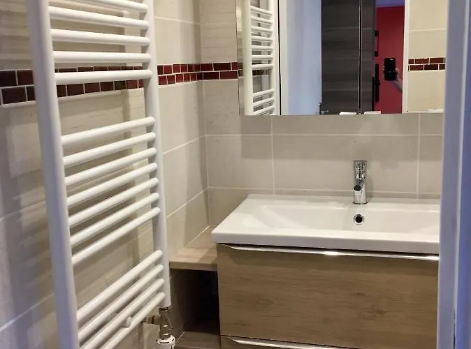 Le De Brigitte ! アパート サン＝ディエ＝デ＝ヴォージュ