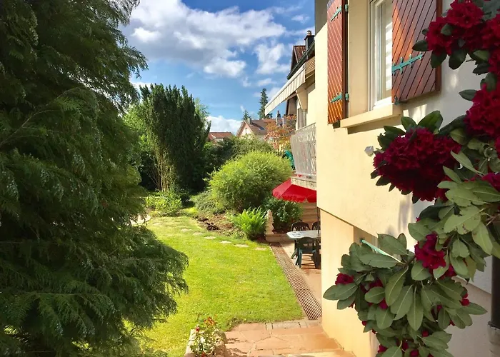 Le De Brigitte ! サン＝ディエ＝デ＝ヴォージュ