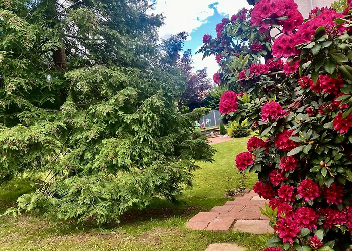 Le De Brigitte ! アパート