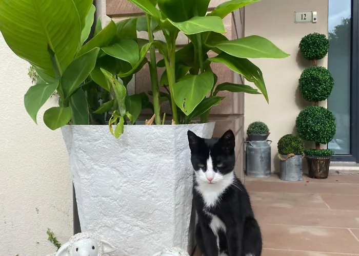 Le De Brigitte ! アパート サン＝ディエ＝デ＝ヴォージュ