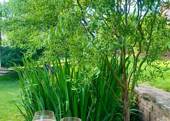 アパート Le De Brigitte ! サン＝ディエ＝デ＝ヴォージュ